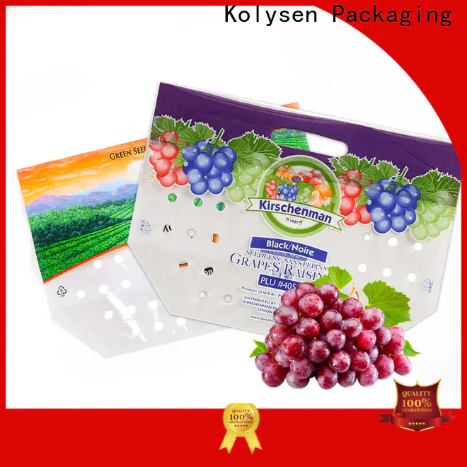 Kolysen stand up gusseted bags manufacturers used in food and beverage